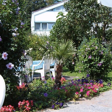 Hotel Park Eden Bad Bellingen Zewnętrze zdjęcie