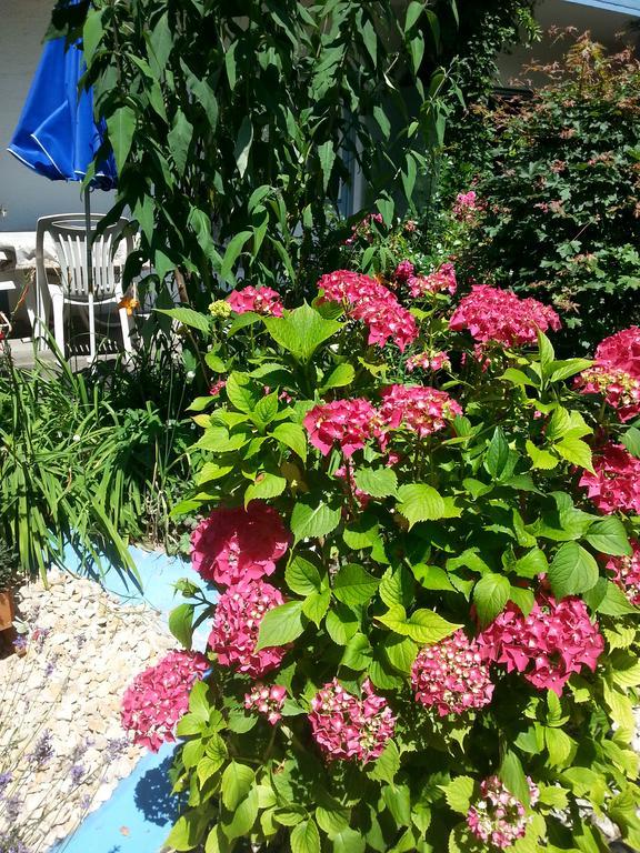 Hotel Park Eden Bad Bellingen Zewnętrze zdjęcie